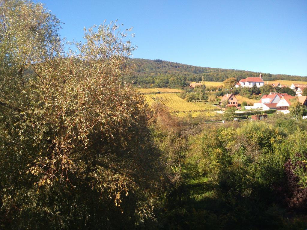 Hotel Restaurant Verger Des Chateaux, Route Des Vins Haut-Koenigsbourg 迪耶方塔勒 外观 照片