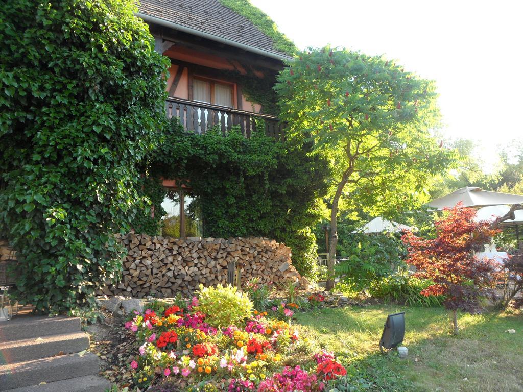 Hotel Restaurant Verger Des Chateaux, Route Des Vins Haut-Koenigsbourg 迪耶方塔勒 外观 照片
