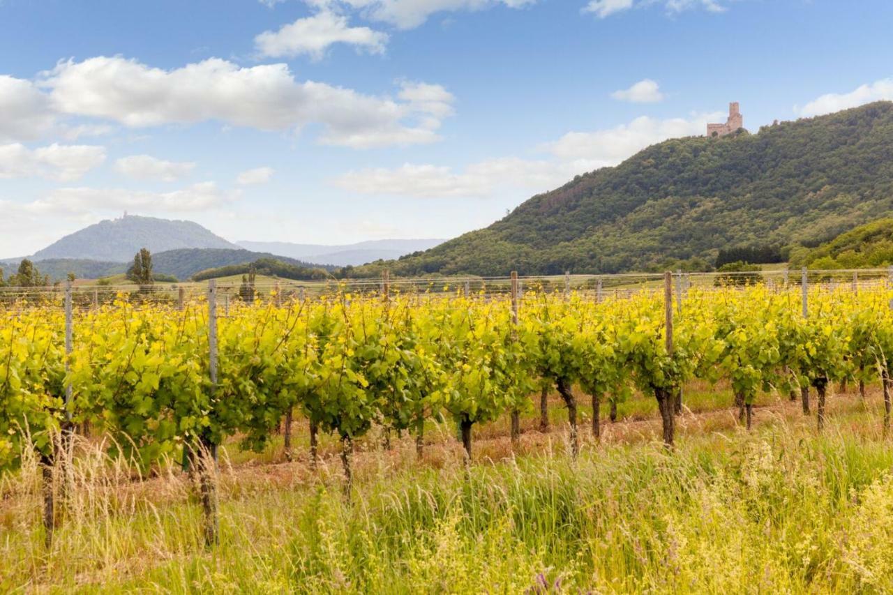 Hotel Restaurant Verger Des Chateaux, Route Des Vins Haut-Koenigsbourg 迪耶方塔勒 外观 照片
